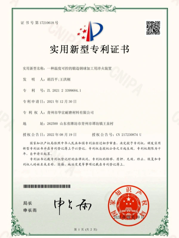 Patent